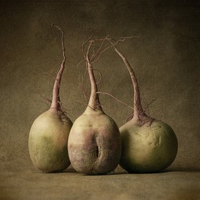 优秀静物摄影展（1）