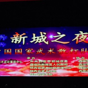 武术精英、明星大腕精彩演绎“新城之夜”