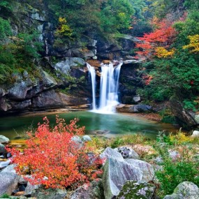 金秋时节的四川米仓山国家森林公园