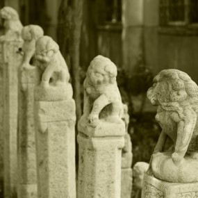 身边的历史——拴马桩