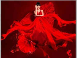 完美嫁衣婚纱礼服外贸新款图片