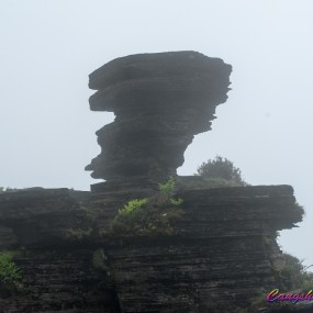 黔南小游-贵阳&梵净山