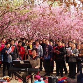 歌声飞出花丛中