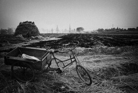 11月的黑白杂乱拍摄