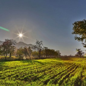 【恋秋的夕阳】