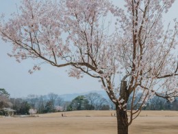 【激发灵感 P31】平淡的生活影像，摄影师镜头里的东京