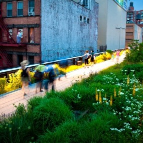 2012年园林摄影师奖