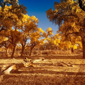 三千年和传说（一）