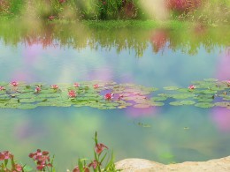 走过春夏就是秋