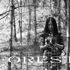 黎坪一路上的走走停停