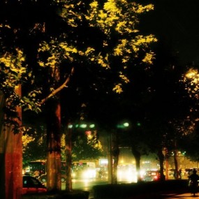 12.5.6  一个人的街拍 多希望你在身边啊