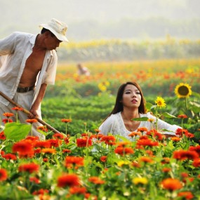 《农夫与美女》