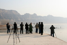 拍天鹅--黄河滩摄影人