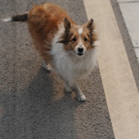 the day of acura with ladies~