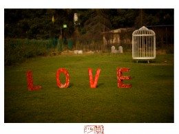 放出笼子是野兽