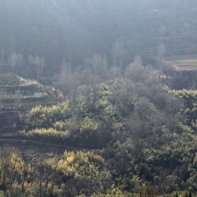 老袁习作（15）