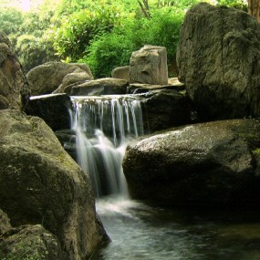 也发几张小DC拍的片片.