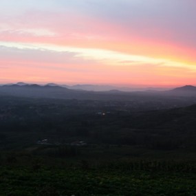 植物园里赏美景