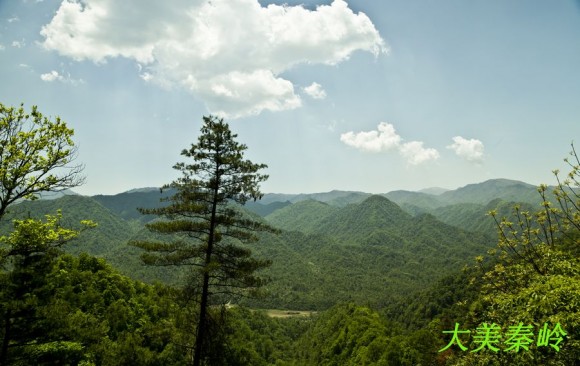 学拍几张秦岭山水