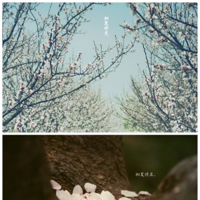 镜子乱拍&初夏将至。