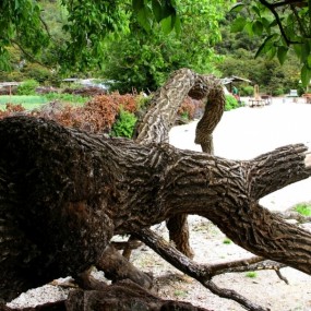 西藏行—去雅鲁藏布大峡谷途中随拍