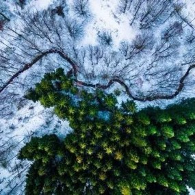 第三届「世界无人机摄影大赛」获奖作品欣赏