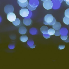 【圣诞节】随便拍