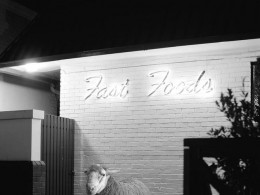 Justin Dingwall 概念艺术摄影