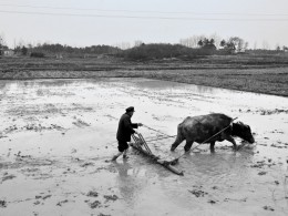 纪念改革开放40周年：喜看农村新变化