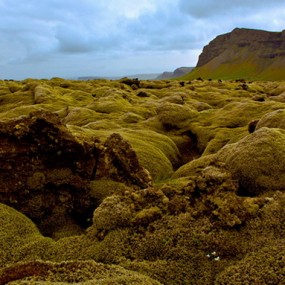 Joe Capra 唯美风光摄影