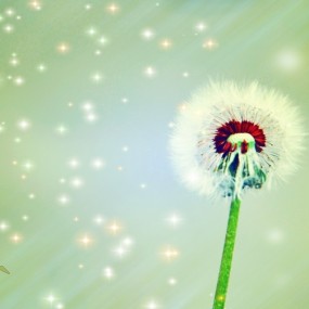 纺织城艺术区三张.