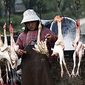 大凉山布托的集市上