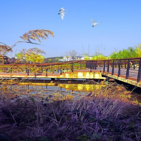 浐灞桃花潭公园风光 组图  上传