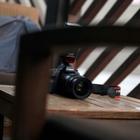 凯文和他的无敌兔