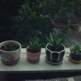 好久没来冒个泡