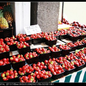 英国草莓好好吃!