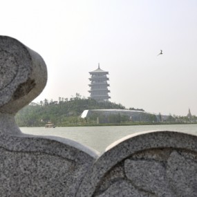 再发几张随拍！