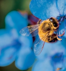 2008 06 每月观片