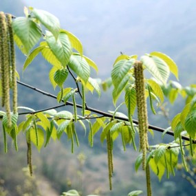 春天赐予的挂饰