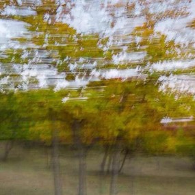 用镜头记录美丽的乌兰布统