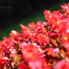 新到D600，随便拍了几张。