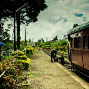 摄影新人，和相机朝夕相伴出去了半年