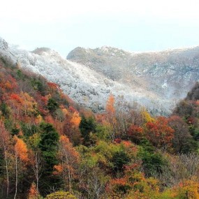 红装素裏--- 大美秦岭-初冬