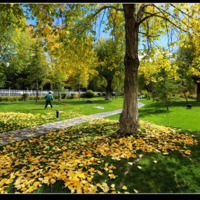 罗布林卡的秋色，不一样的际遇