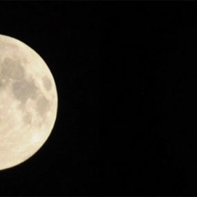 平民中长焦头也拍拍微距