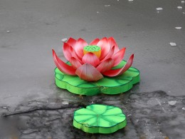 芙蓉园里莲花灯