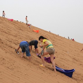 大荔沙苑文化游