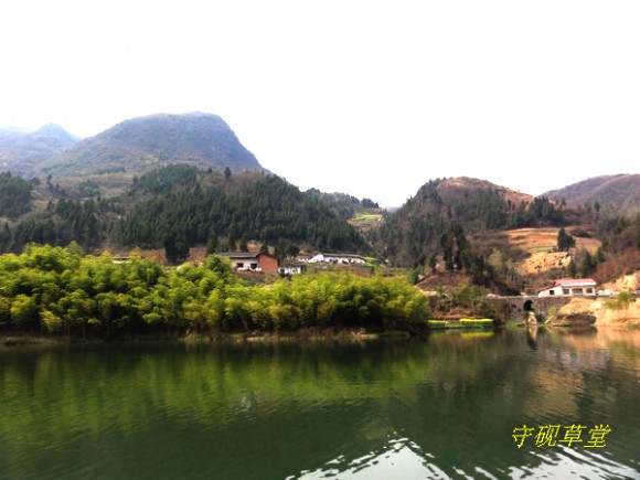 三月里来后柳镇