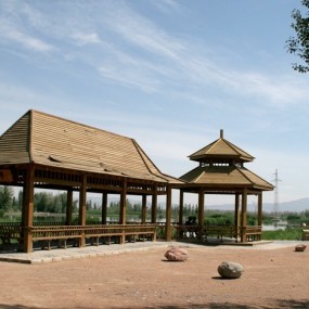 张掖黑河湿地景观2