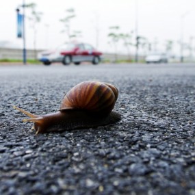 蜗牛上路 _航海王基德